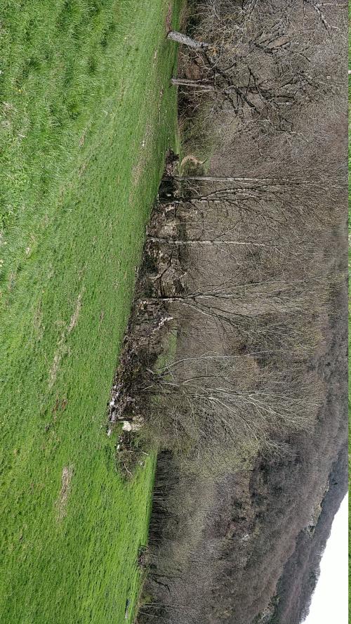 Photo de Verel-Pragondran