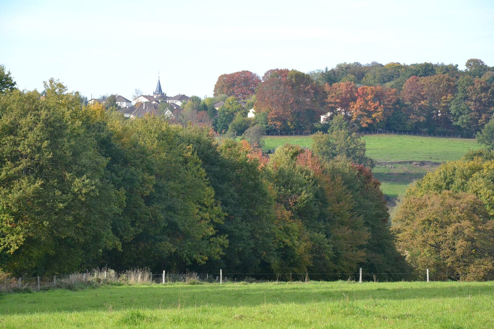 Photo de Verneuil-sur-Vienne