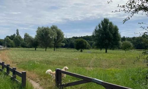 Photo de Vernouillet