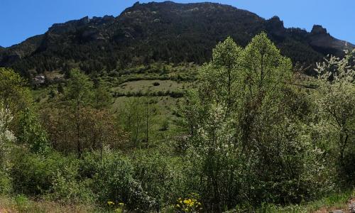 Photo de Vignes