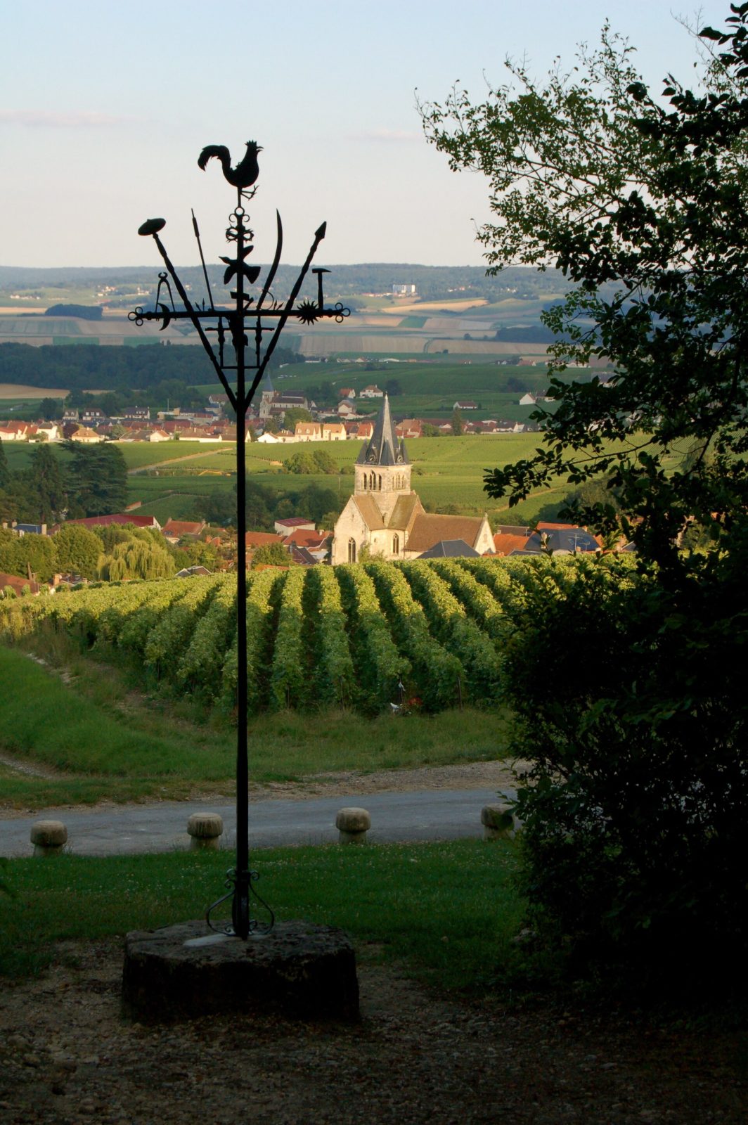 Photo de Ville-Dommange