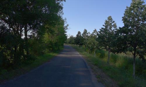 Photo de Villedubert
