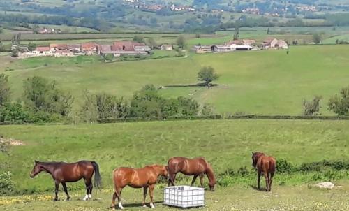 Photo de Villeneuve-en-Montagne