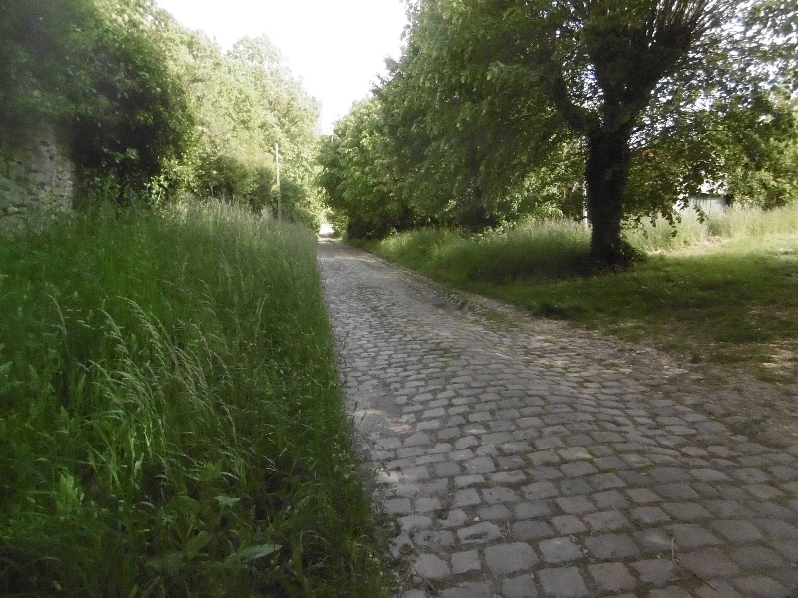 Photo de Villeneuve-sous-Dammartin