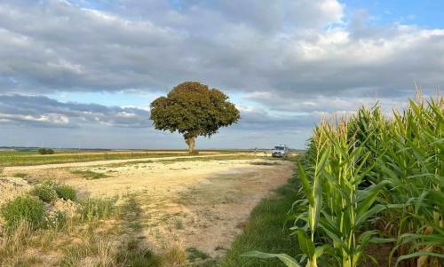 Photo de Villers-devant-le-Thour