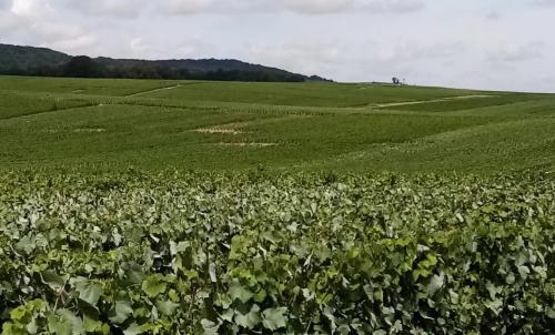 Photo de Villers-Marmery
