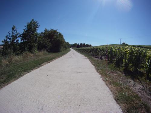 Photo de Vincelles