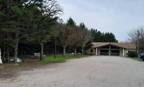 Photo de Vira