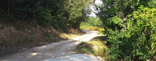 Photo de Vira