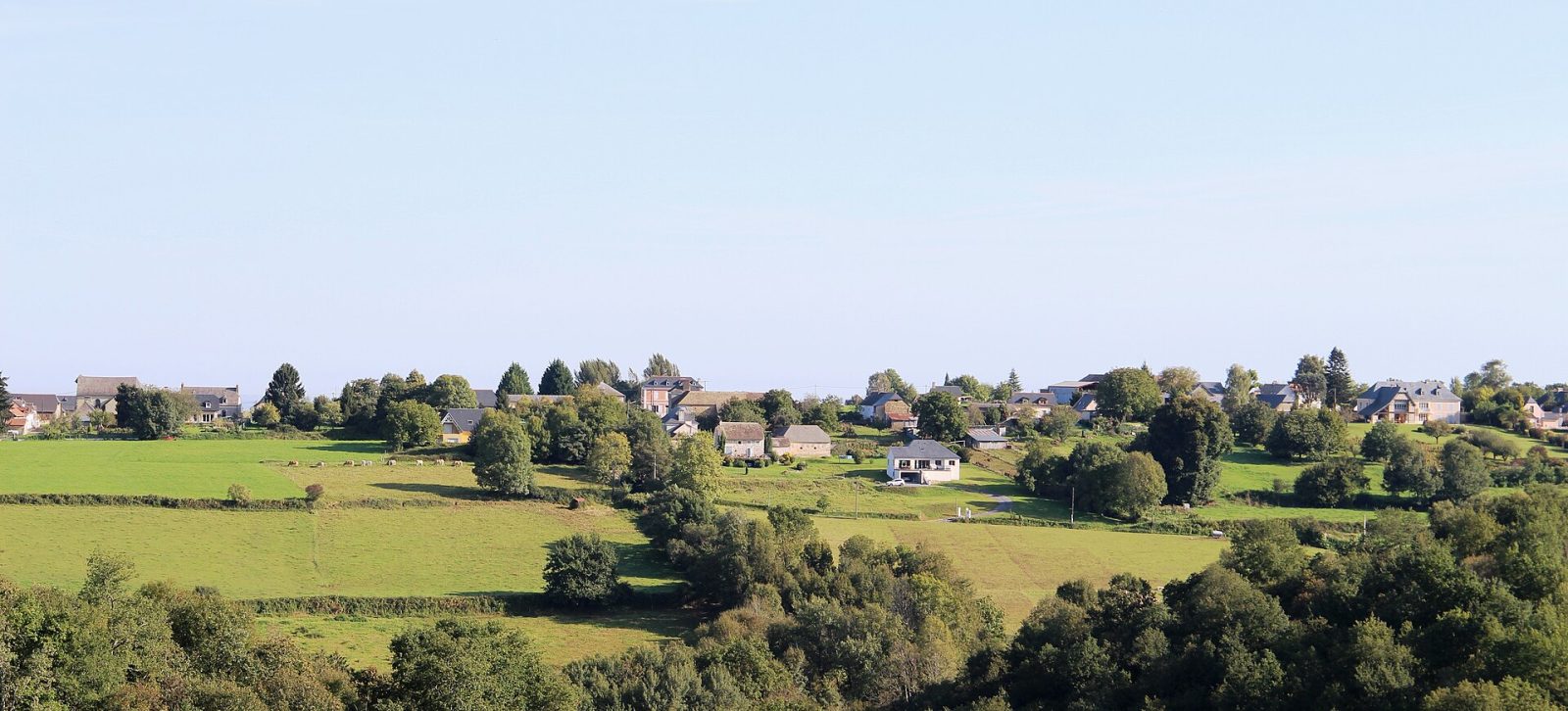 Photo de Visker