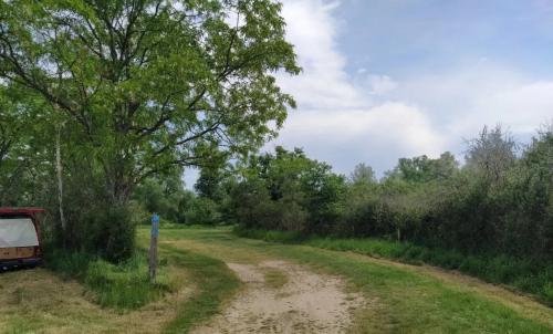 Photo de Vitry-sur-Loire