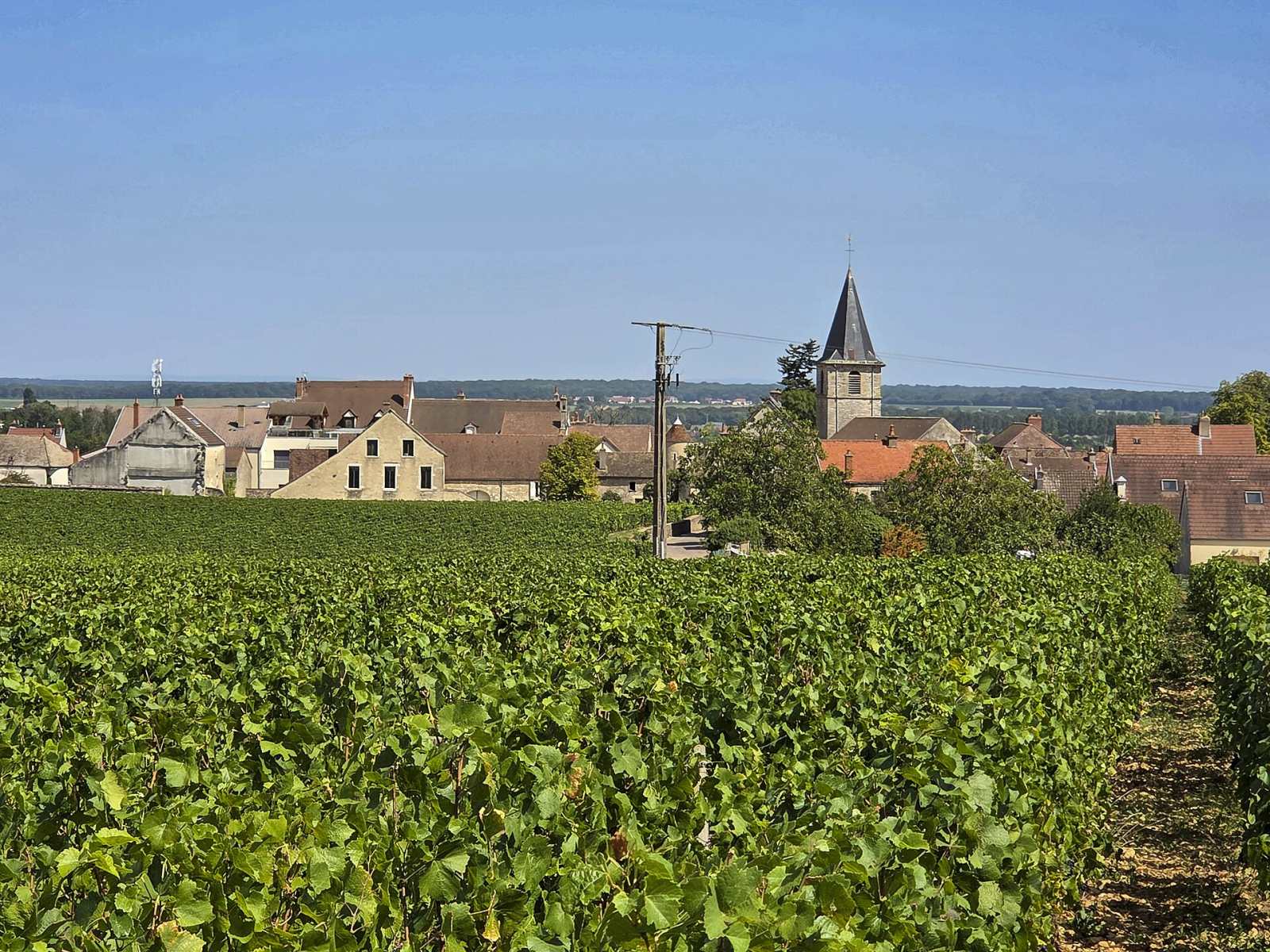 Photo de Vosne-Romanée