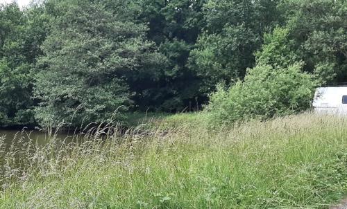 Photo de Wallers-en-Fagne