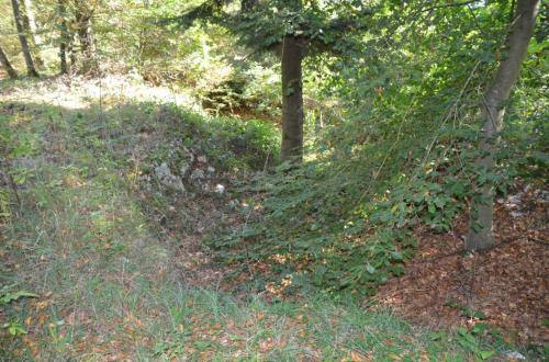 Photo de Werentzhouse