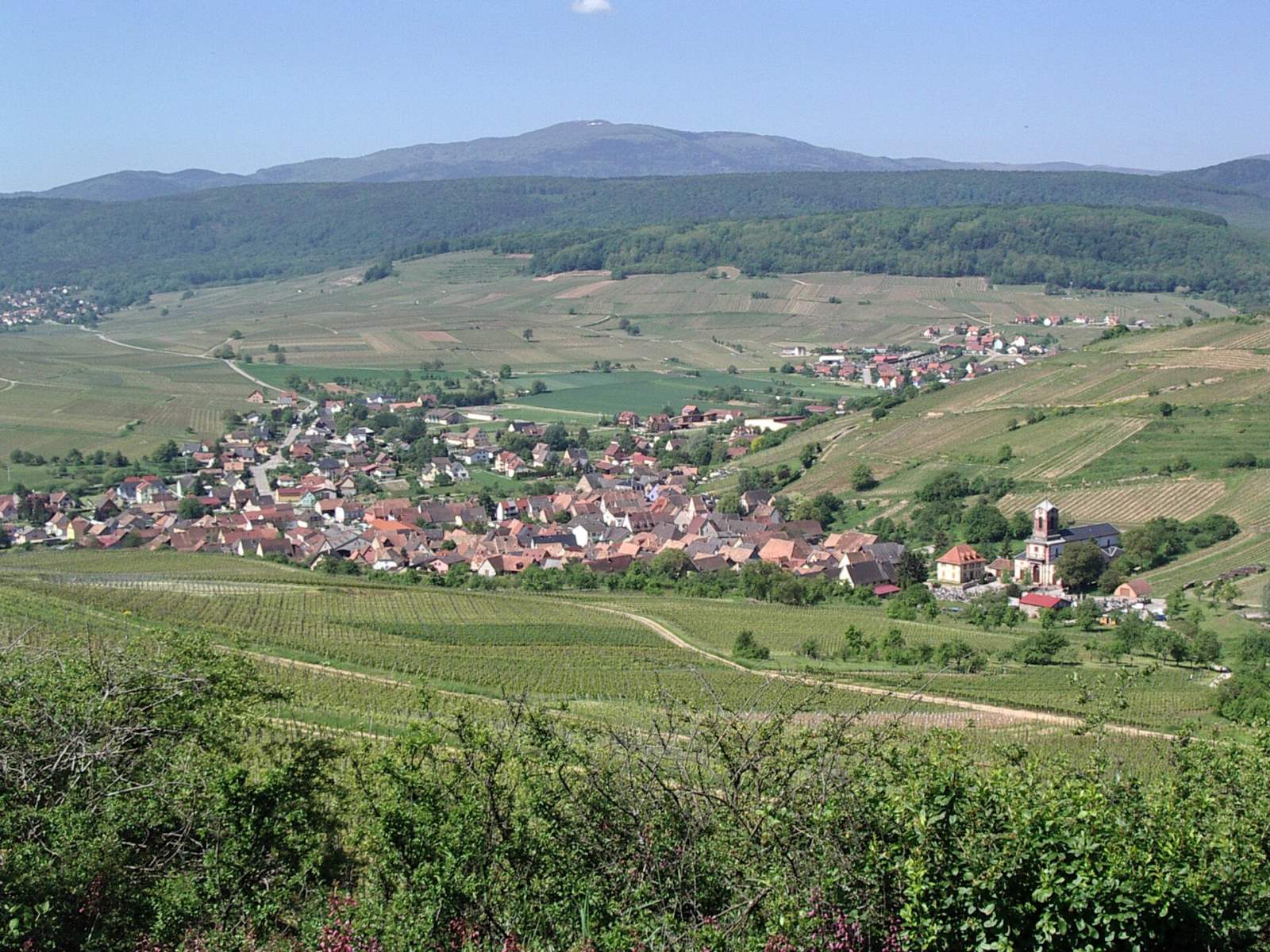 Photo de Westhalten
