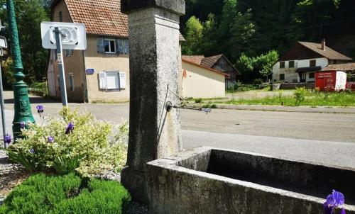 Photo de Wildenstein