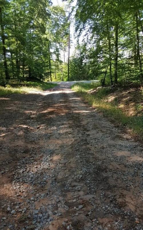 Photo de Wimmenau