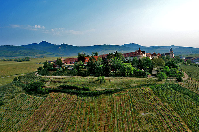 Photo de Zellenberg