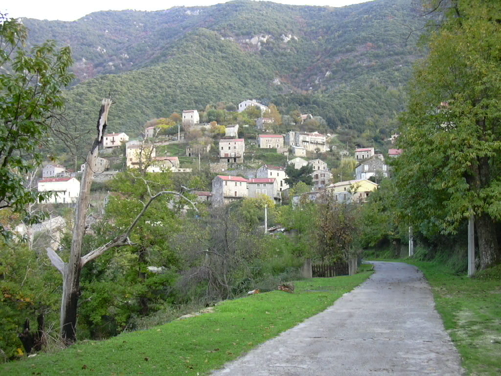 Photo de Zoza